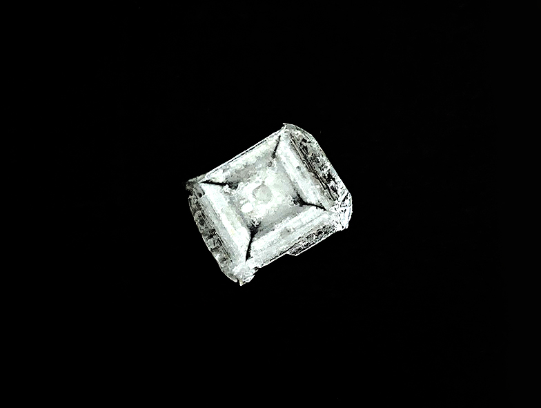 Kai Goletz, Ole Gollin, Nina Heldt, Aimée Laatz, Til Lampe, Luna Oltmanns, Antonia Roocks, Hong Hanh Vu, Nele Waldmann, Lilli Wolf, Betty Zabel: METAMORPHOSE