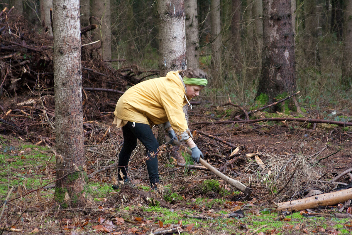 2023_Januar_Vorbereitung_der_Flaeche_mit_der_Plackhacke_Foto Sabrina Lampe_gestaltungwismar.jpg 2023_Januar_Vorbereitung_der_Flaeche_mit_der_Plackhacke_Foto Sabrina Lampe_gestaltungwismar.jpg