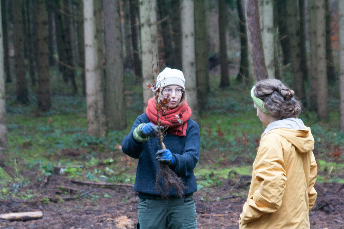 2023_Januar_Pflanzaktion_Jennifer_Beyer_und_Linnea_Nickel_Foto Sabrina Lampe_gestaltungwismar.jpg 2023_Januar_Pflanzaktion_Jennifer_Beyer_und_Linnea_Nickel_Foto Sabrina Lampe_gestaltungwismar.jpg