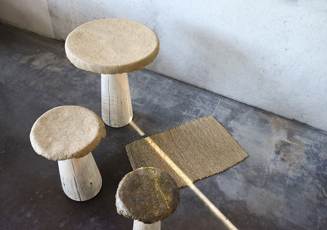 Johanna Ebert: PINUS