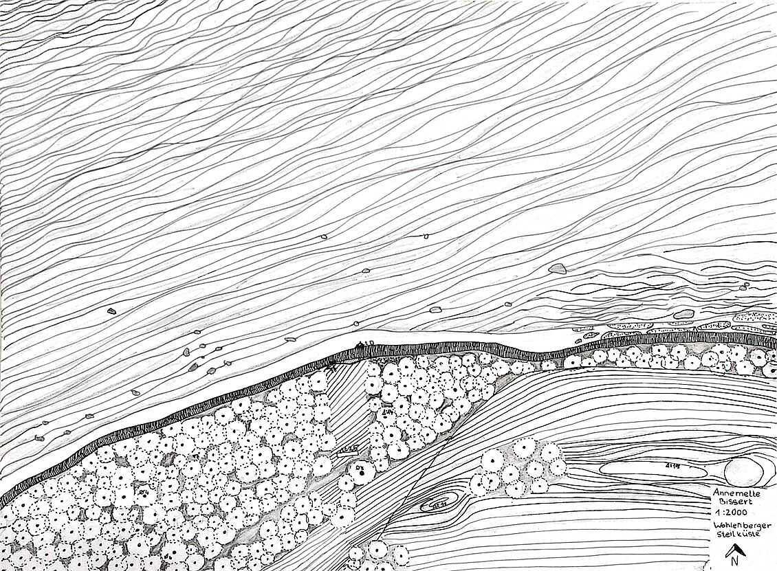 Architektur und Innenarchitektur Bachelor, 1. Semester : into the wild_Baukonstruktion I