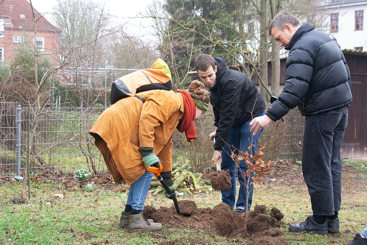 2023_Maerz_J_P_D_beim_pflanzen_Foto Sabrina Lampe_gestaltungwismar.jpg 2023_Maerz_J_P_D_beim_pflanzen_Foto Sabrina Lampe_gestaltungwismar.jpg