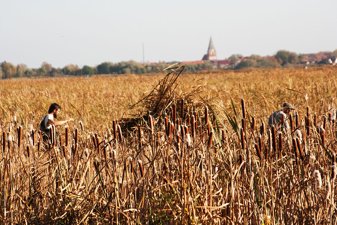 J. Ebert, J. Einfeld, E. Eisland, E. Feldmann, J. Hansen,  M. Kick, T. Kick, J. Kirschall, L. Möller, L. Nickel, S. Omar, A. Pein, A. Rasztawicki, C. Richter, M. Riebort, P. Röder, L. Rothfuß, E. Sonntag, K. Volk, A. Wagner, E. Wolfram: Less is Moor