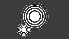 Vortrag von Dr. Thomas Lux