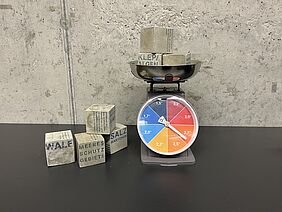 Linn Michaelis: Klimamaßnahmen wiegen Linn Michaelis: SDG 13 - Maßnahmen zum Klimaschutz