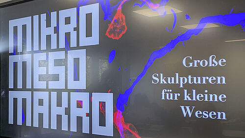 You can see a screen with a poster hanging next to it.