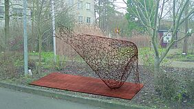 Wenke Kern: Schleimpilz und Wissenschaft