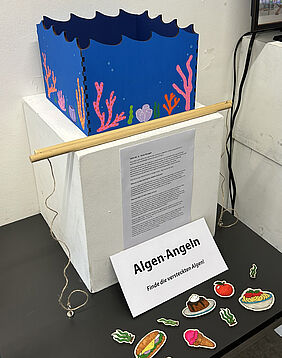 Kira Asmussen: Algen-Angeln Kira Asmussen: SDG 2 - Kein Hunger