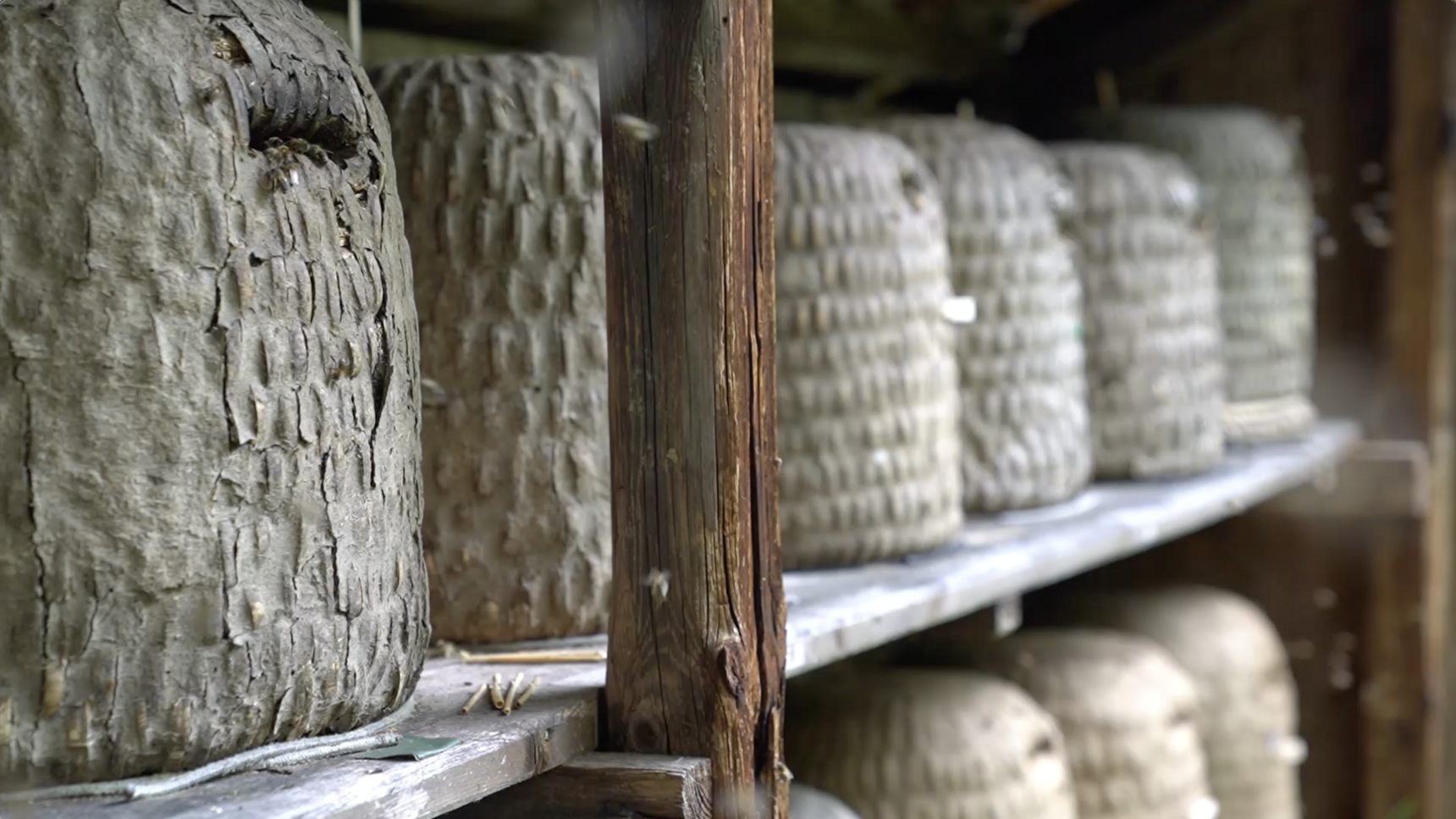 Jorinde Ortlieb: Korbimkerei in der Lüneburger Heide