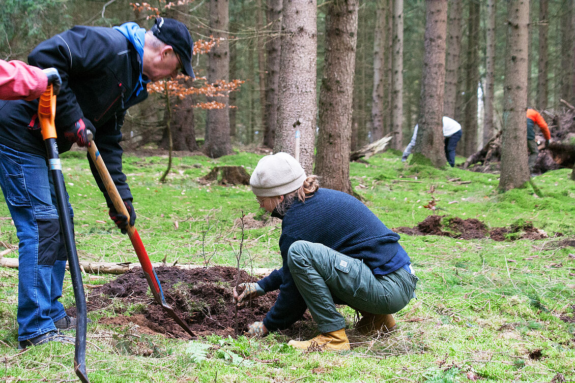 Studierende der Architektur und Innenarchitektur: Exkurs: Wer Bäume pflanzt, pflanzt Zuversicht