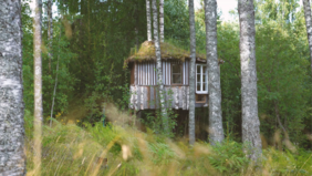 Film "Bluesberrywood", Bildquelle von Jorinde Ortlieb, Fakultät Gestaltung der Hochschule Wismar, 2023