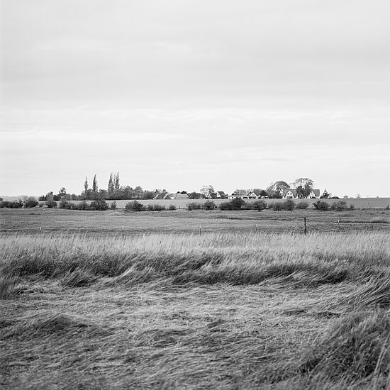 Lea Strauß: Refugium