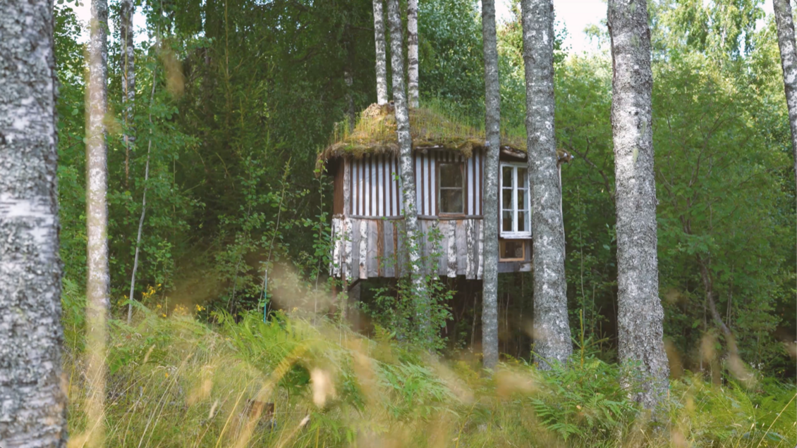 Jorinde Ortlieb: Bluesberry Woods