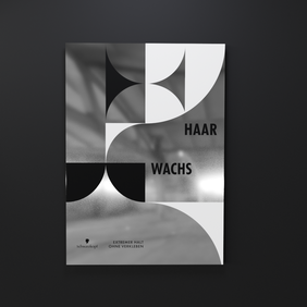 Thema Konstruktivismus