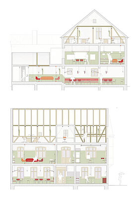 Längsschnitt & Querschnitt