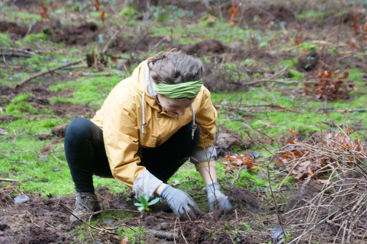 2023_Januar_Linnea_Nickel_Foto Sabrina Lampe_gestaltungwismar.jpg 2023_Januar_Linnea_Nickel_Foto Sabrina Lampe_gestaltungwismar.jpg