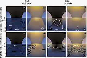 Grafik Die acht Grafiken sind in zwei Reihen angeordnet und mit Achsen versehen, an denen die Wassertiefe verzeichnet ist.
